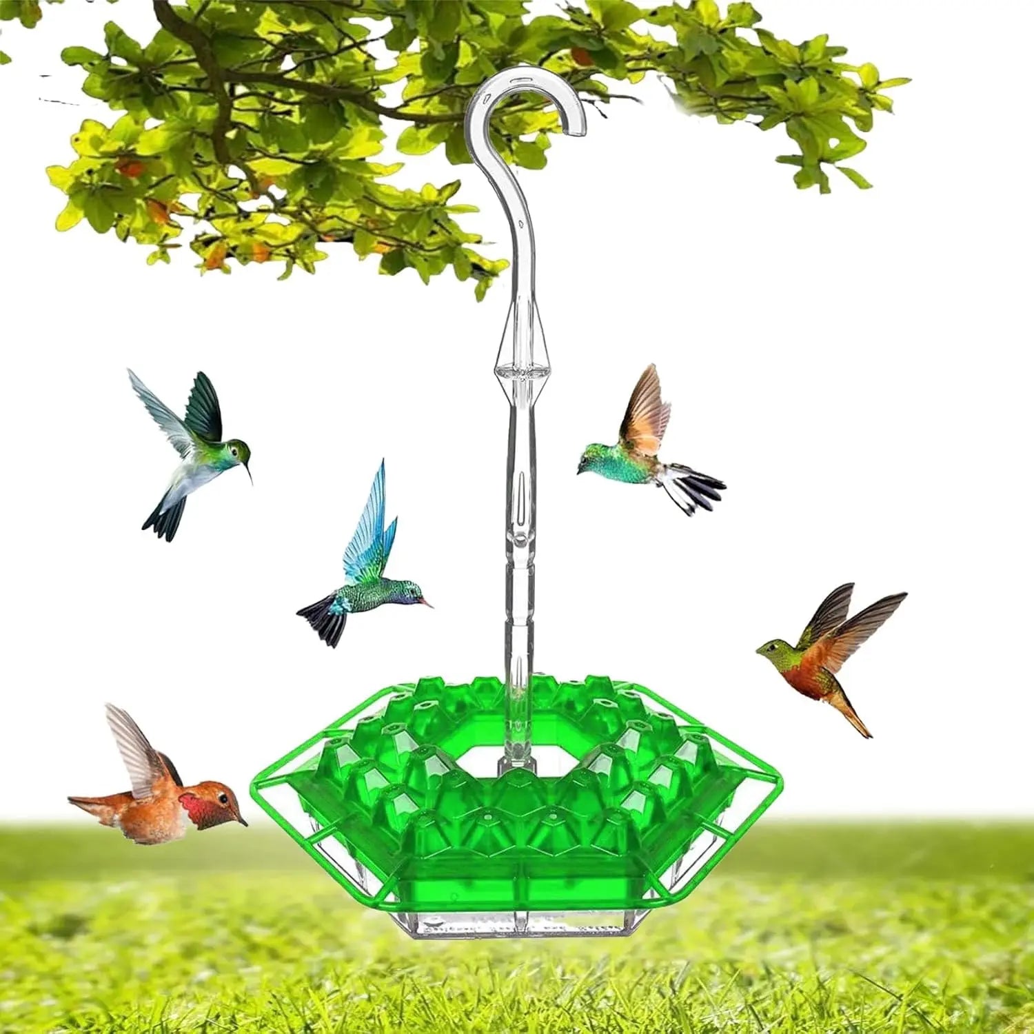 Outdoor Hanging Hummingbird Feeders
