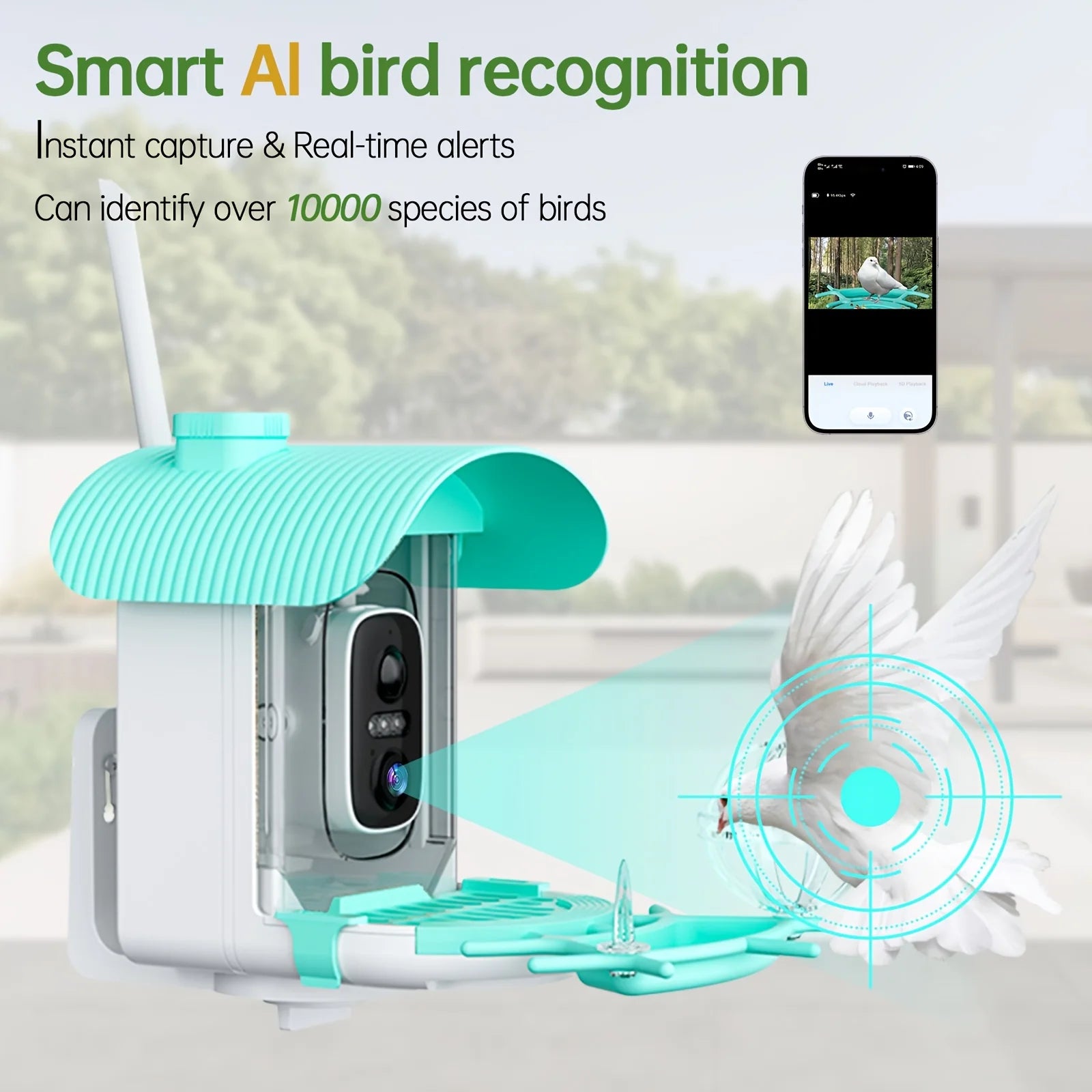 AI Smart Bird Feeder with Camera, Solar Powered,