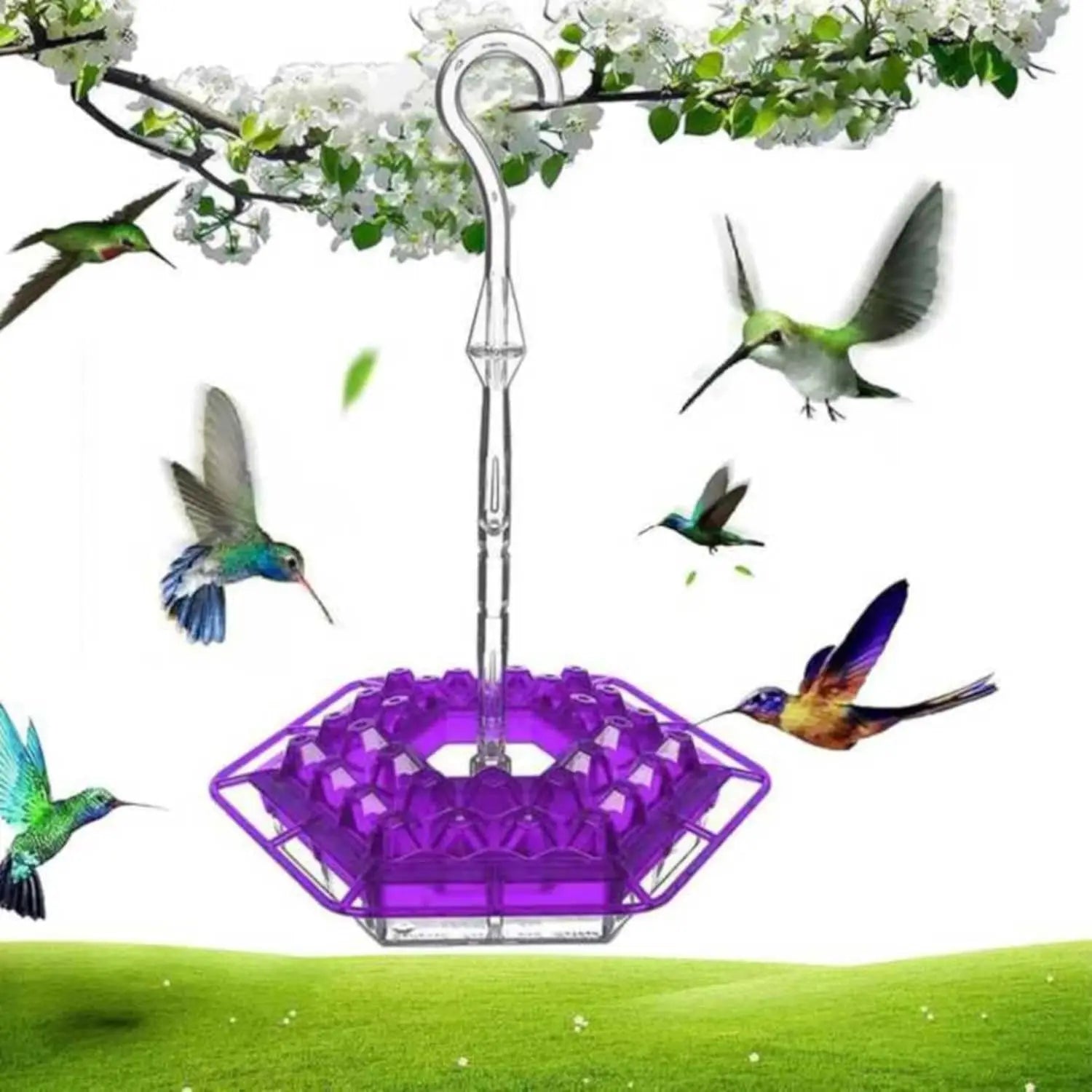 Outdoor Hanging Hummingbird Feeders